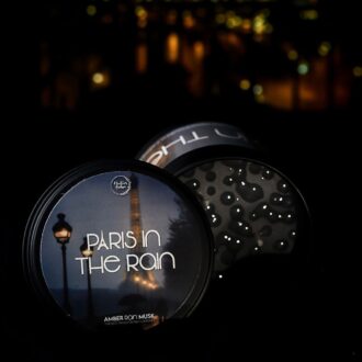 Paris in the Rain